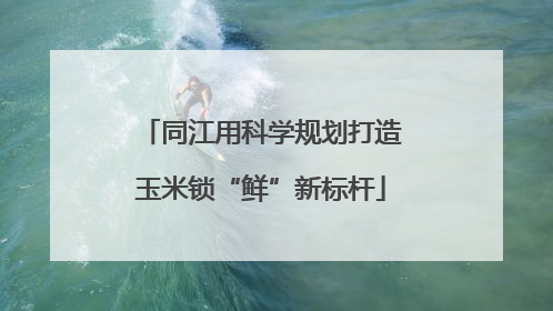 同江用科学规划打造玉米锁“鲜”新标杆