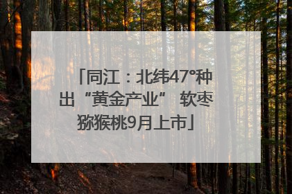 同江：北纬47°种出“黄金产业” 软枣猕猴桃9月上市