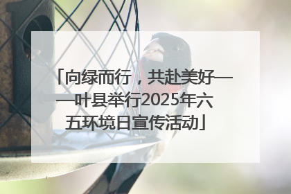 向绿而行，共赴美好——叶县举行2025年六五环境日宣传活动