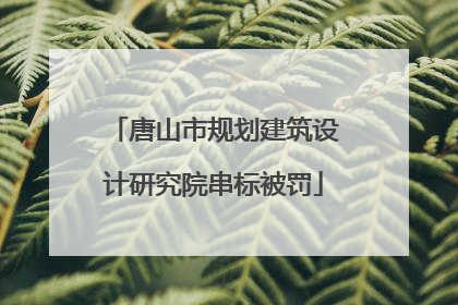 唐山市规划建筑设计研究院串标被罚