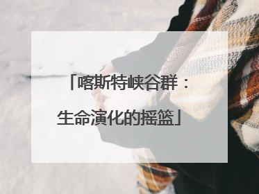 喀斯特峡谷群：生命演化的摇篮