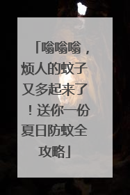 嗡嗡嗡，烦人的蚊子又多起来了！送你一份夏日防蚊全攻略