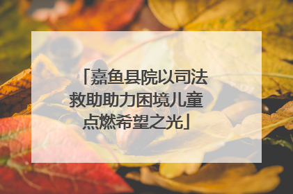 嘉鱼县院以司法救助助力困境儿童点燃希望之光