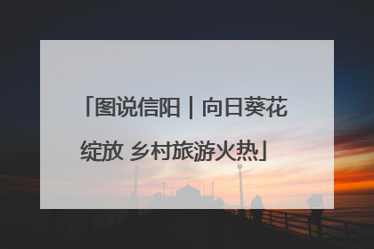 图说信阳｜向日葵花绽放 乡村旅游火热