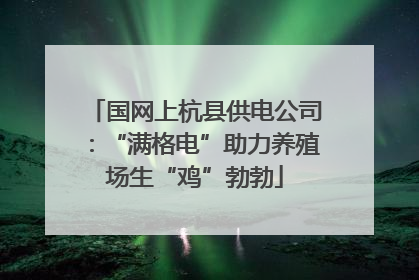 国网上杭县供电公司：“满格电”助力养殖场生“鸡”勃勃