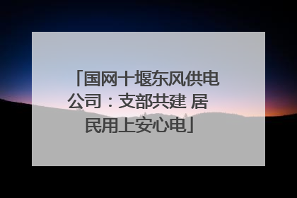 国网十堰东风供电公司：支部共建 居民用上安心电