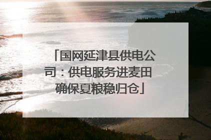 国网延津县供电公司：供电服务进麦田 确保夏粮稳归仓