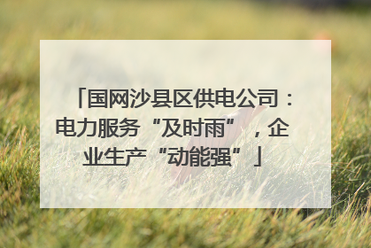 国网沙县区供电公司：电力服务“及时雨”，企业生产“动能强”