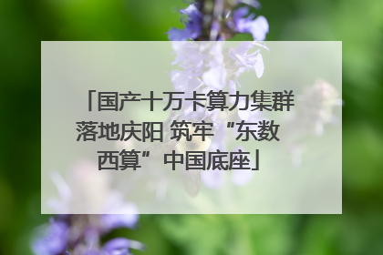 国产十万卡算力集群落地庆阳 筑牢“东数西算”中国底座