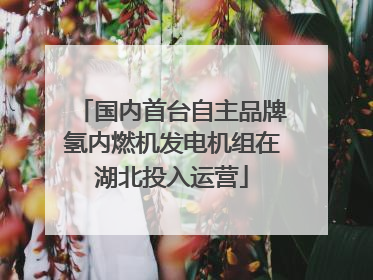 国内首台自主品牌氢内燃机发电机组在湖北投入运营