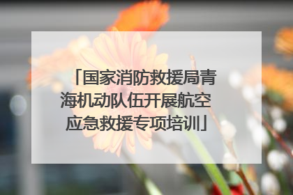 国家消防救援局青海机动队伍开展航空应急救援专项培训