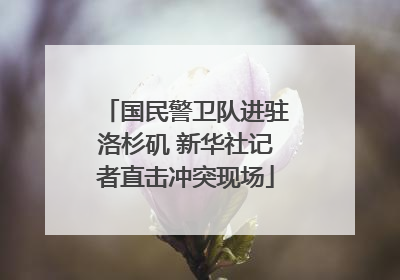 国民警卫队进驻洛杉矶 新华社记者直击冲突现场