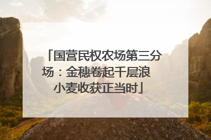 国营民权农场第三分场：金穗卷起千层浪 小麦收获正当时