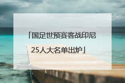 国足世预赛客战印尼25人大名单出炉