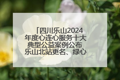 四川乐山2024年度心连心服务十大典型公益案例公布 乐山北站更名、绿心路井盖治理等上榜