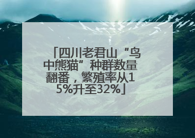 四川老君山“鸟中熊猫”种群数量翻番，繁殖率从15%升至32%