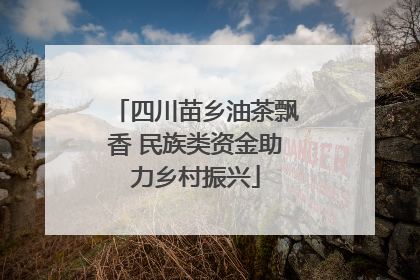 四川苗乡油茶飘香 民族类资金助力乡村振兴