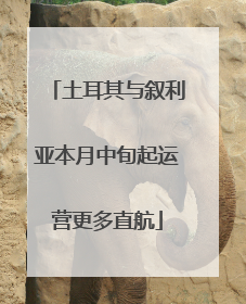 土耳其与叙利亚本月中旬起运营更多直航