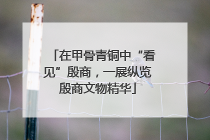 在甲骨青铜中“看见”殷商，一展纵览殷商文物精华