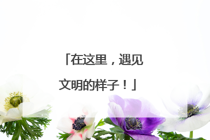 在这里，遇见文明的样子！
