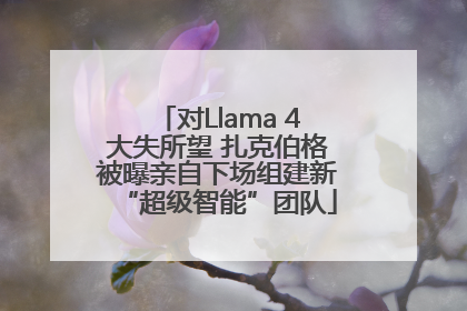 对Llama 4大失所望 扎克伯格被曝亲自下场组建新“超级智能”团队
