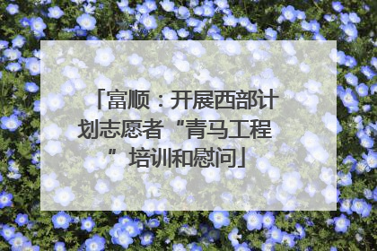 富顺：开展西部计划志愿者“青马工程”培训和慰问