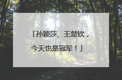 孙颖莎、王楚钦，今天也是冠军！
