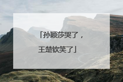 孙颖莎哭了，王楚钦笑了