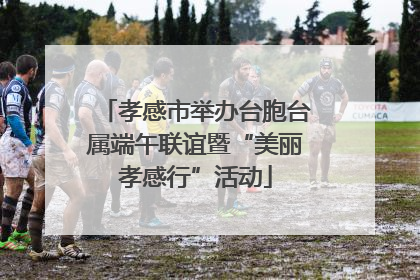 孝感市举办台胞台属端午联谊暨“美丽孝感行”活动