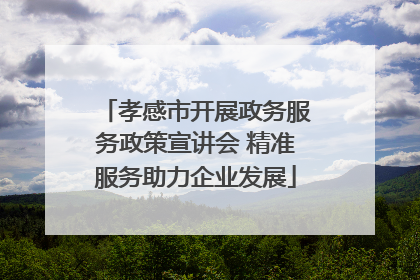 孝感市开展政务服务政策宣讲会 精准服务助力企业发展