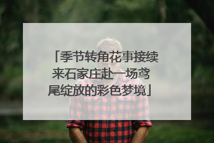 季节转角花事接续 来石家庄赴一场鸢尾绽放的彩色梦境