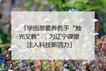 学而思素养携手“烛光义教”，为辽宁课堂注入科技新活力