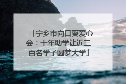 宁乡市向日葵爱心会：十年助学让近三百名学子圆梦大学
