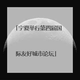 宁夏举行第四届国际友好城市论坛