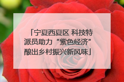 宁夏西夏区 科技特派员助力“紫色经济”酿出乡村振兴新风味