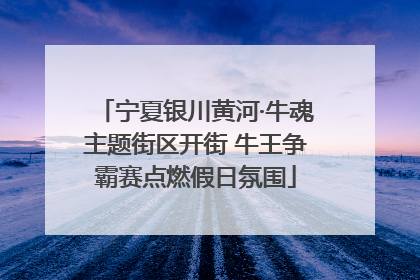 宁夏银川黄河·牛魂主题街区开街 牛王争霸赛点燃假日氛围