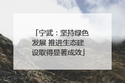 宁武：坚持绿色发展 推进生态建设取得显著成效