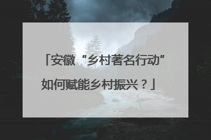 安徽“乡村著名行动”如何赋能乡村振兴？