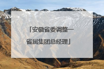 安徽省委调整一省属集团总经理