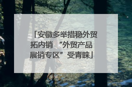 安徽多举措稳外贸拓内销 “外贸产品展销专区”受青睐