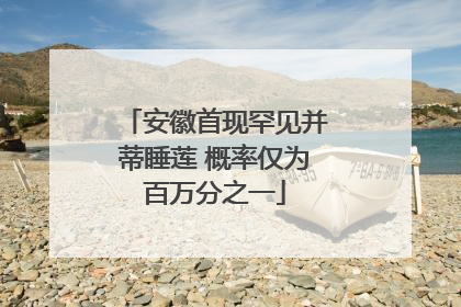安徽首现罕见并蒂睡莲 概率仅为百万分之一