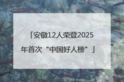 安徽12人荣登2025年首次“中国好人榜”