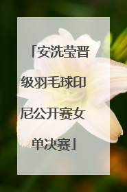 安洗莹晋级羽毛球印尼公开赛女单决赛