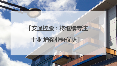 安通控股：将继续专注主业 增强业务优势