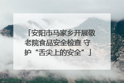 安阳市马家乡开展敬老院食品安全检查 守护“舌尖上的安全”