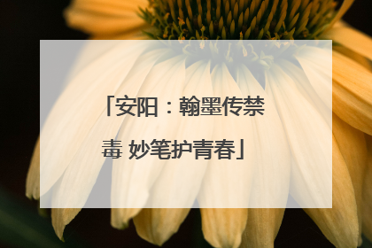 安阳：翰墨传禁毒 妙笔护青春