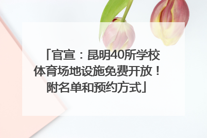 官宣：昆明40所学校体育场地设施免费开放！附名单和预约方式