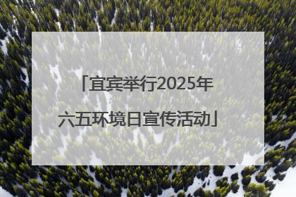宜宾举行2025年六五环境日宣传活动