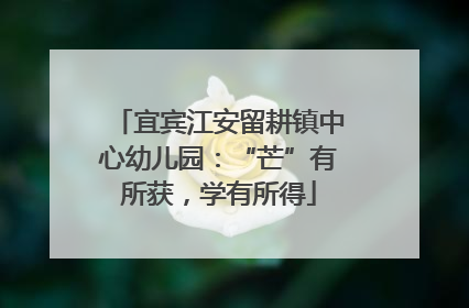宜宾江安留耕镇中心幼儿园：“芒”有所获，学有所得