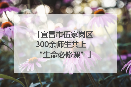 宜昌市伍家岗区300余师生共上“生命必修课”